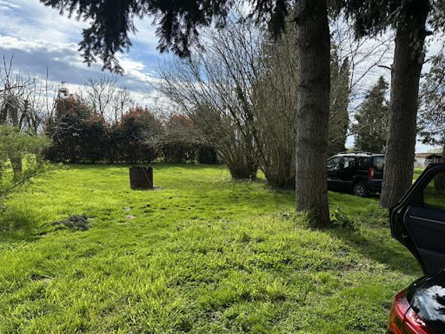 Vente Agence Immobilière 1900 m2 Cours les Barres