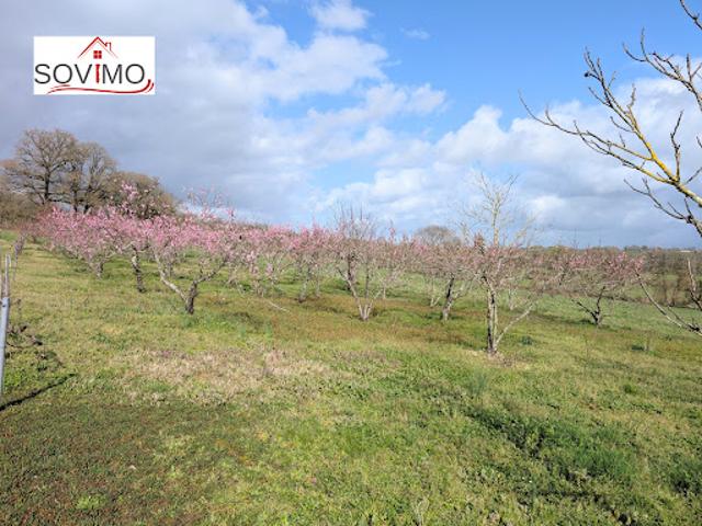 Vente Agence Immobilière 1893 m2 Confolens
