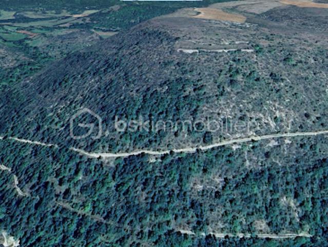 Vente Agence Immobilière 48699 m2 Cornus