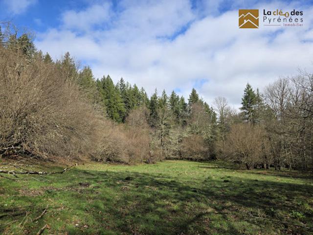 Vente Terrain 23704 m2 Arras en Lavedan
