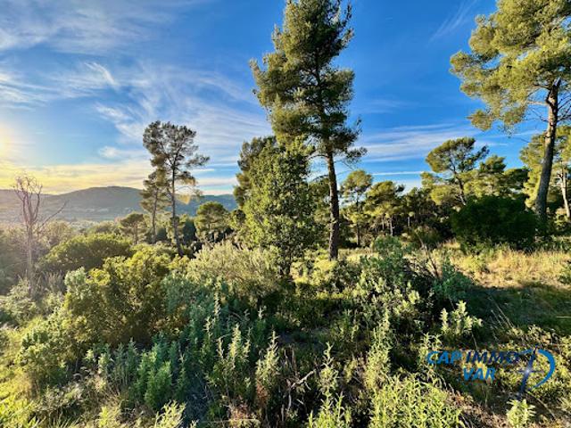 Vente Agence Immobilière 15497 m2 Evenos