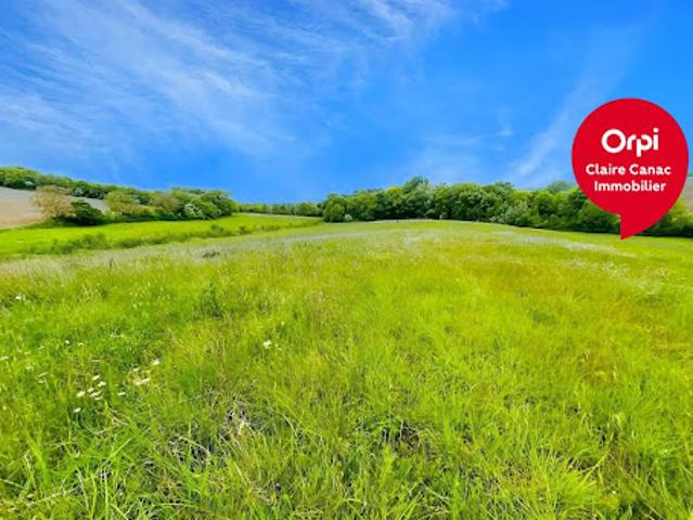 Vente Agence Immobilière Fiac
