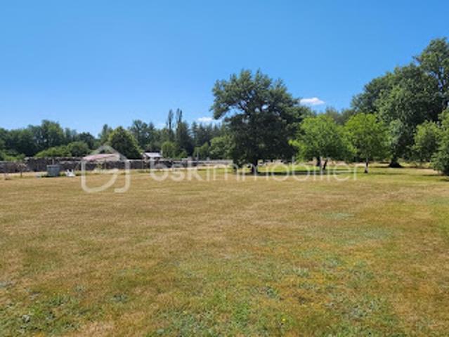 Vente Agence Immobilière 3733 m2 Ouzouer sur Loire