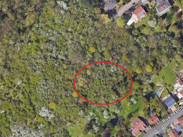 Vente Agence Immobilière 1567 m2 Longeville lès Metz