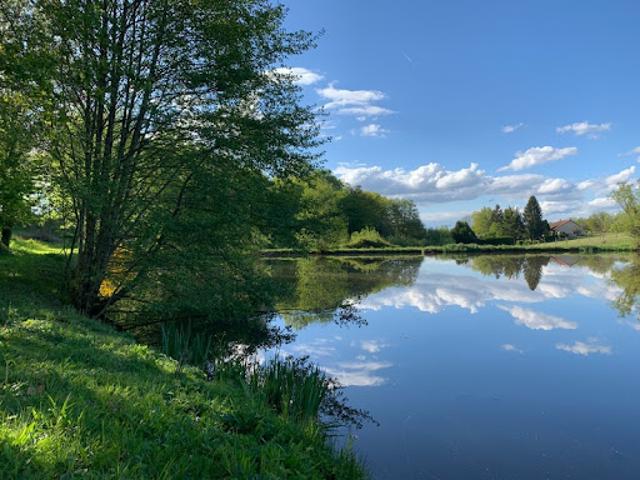 Vente Agence Immobilière Lanouaille