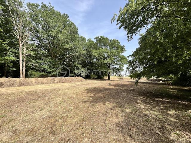 Vente Agence Immobilière 5995 m2 Les Brouzils