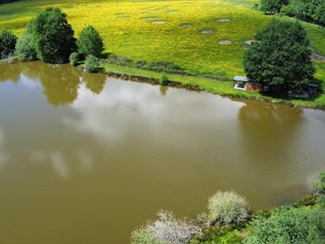 Vente Agence Immobilière 12500 m2 Magnivray