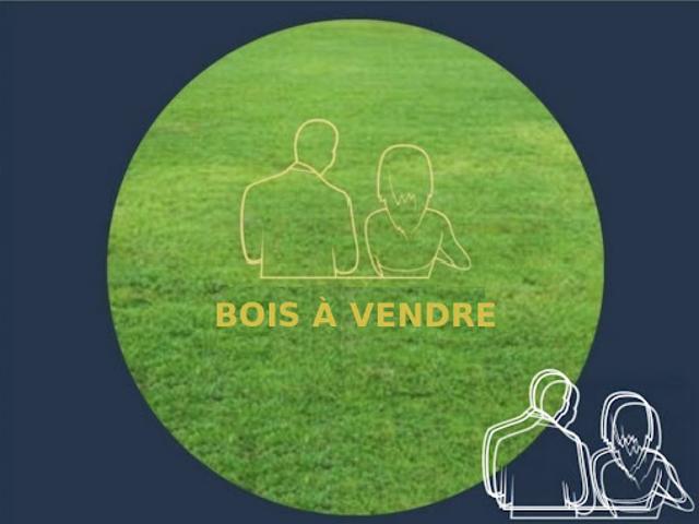Vente Agence Immobilière 57029 m2 Manneville sur Risle