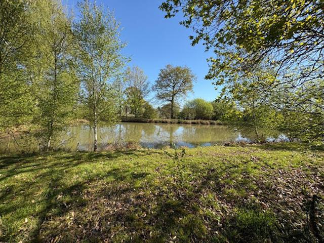 Vente Agence Immobilière 5230 m2 Marcillé Raoul