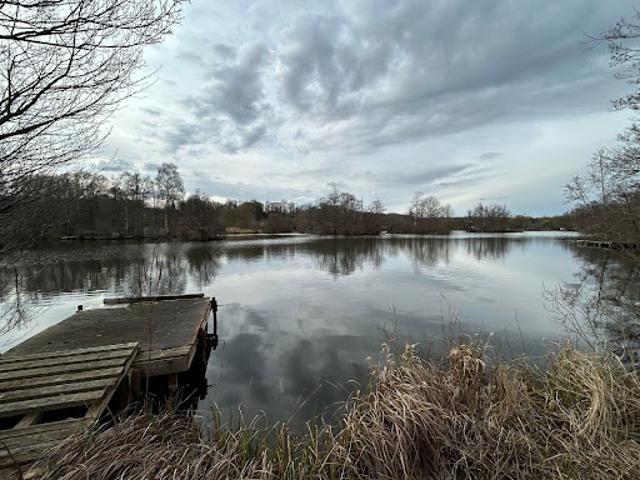 Vente Agence Immobilière 6955 m2 Mareuil Caubert