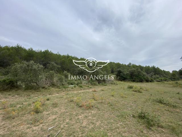 Vente Terrain 49670 m2 Sauteyrargues