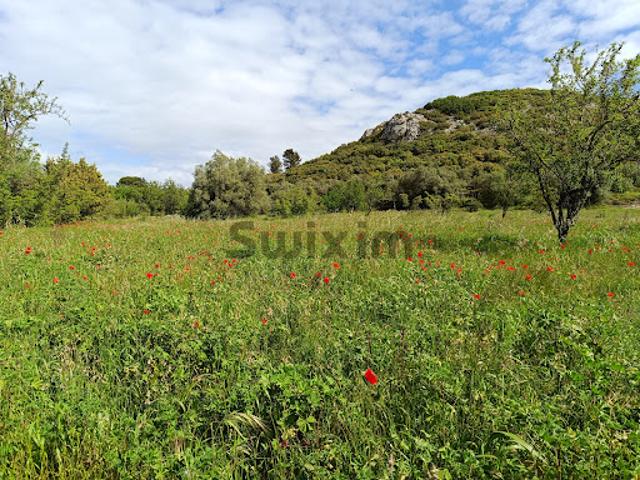 Vente Agence Immobilière 3970 m2 Saint Bonnet du Gard