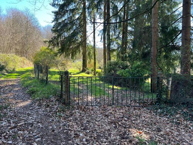 Vente Agence Immobilière 7754 m2 Saint Jouvent