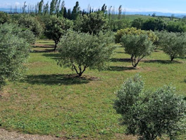 Vente Agence Immobilière 11465 m2 Pezens