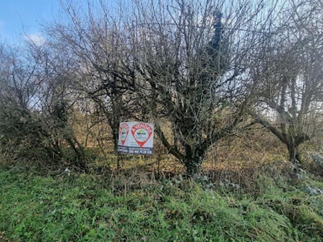 Vente Agence Immobilière 5700 m2 Vignoux sur Barangeon