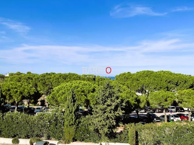 Vente Appartement 4 pièces 44 m2 Argeles sur mer