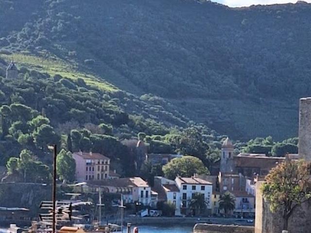 Vente Appartement 4 pièces 69 m2 Collioure