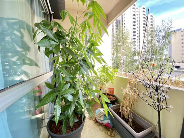 Vente Appartement 4 pièces 96 m2 Saint Etienne