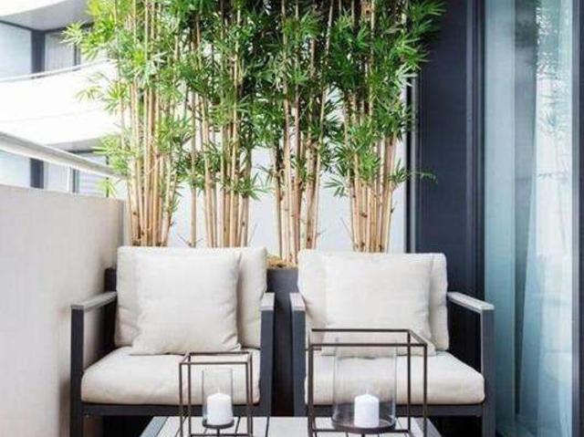 Vente appartement 4 pièces Trélazé 49