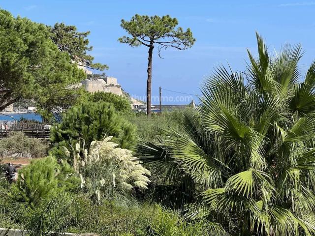 Vente appartement 4 pièces Calvi 20