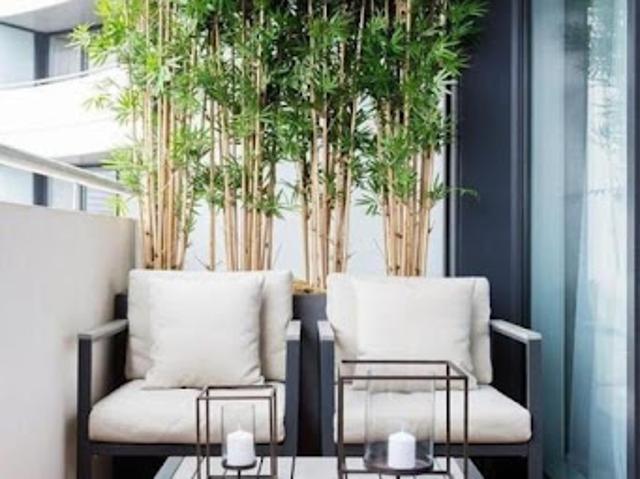 Vente Appartement 5 pièces 136 m2 Saint maur des fosses