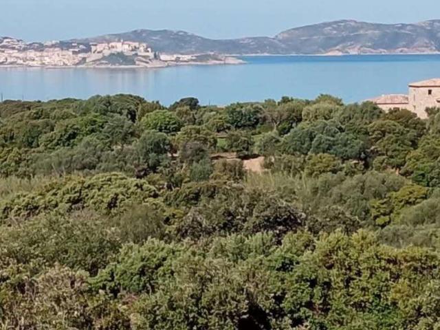 Vente appartement 6 pièces Lumio 20