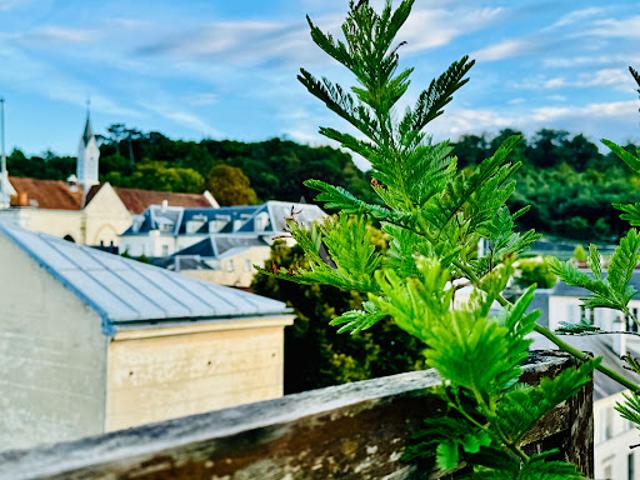 Vente Appartement 7 pièces 185 m2 Versailles