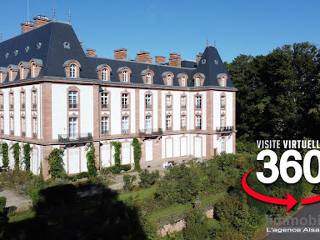 Vente Appartement 8 pièces 321.65 m2 Saint die des vosges