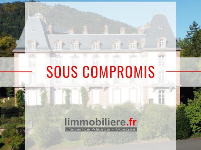 Vente Appartement 8 pièces 321.65 m2 Saint die des vosges