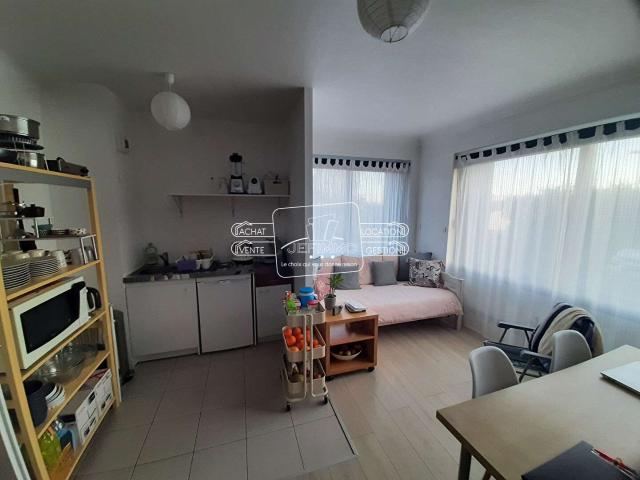 Vente appartement 1 pièce Mauves sur Loire 44