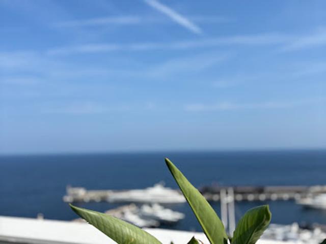 Vente Appartement 1 pièce Beausoleil