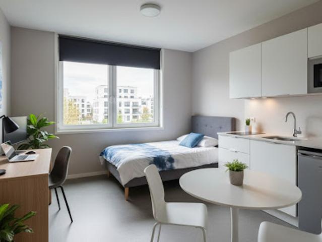 Vente Appartement 1 pièce Bischheim