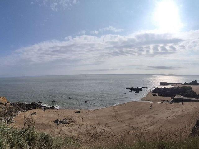 Vente appartement 1 pièce Saint Marc sur Mer 44