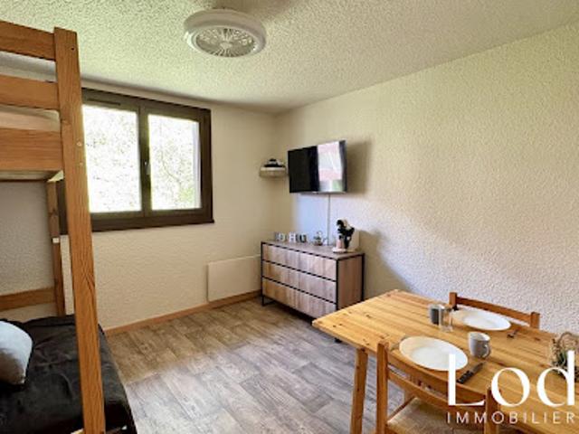 Vente Appartement 1 pièce 16 m2 Saint Chaffrey