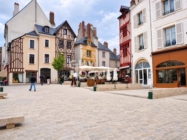 Vente Appartement 1 pièce 17.37 m2 Orleans