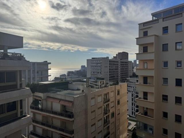 Vente Appartement 1 pièce 25 m2 Monaco