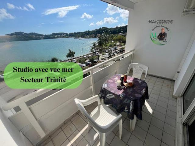 Vente Appartement 1 pièce 27.37 m2 La trinite