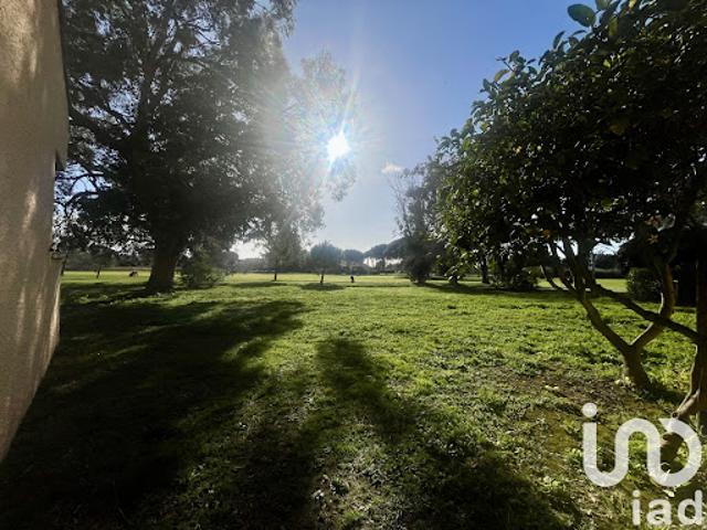 Vente Appartement 1 pièce 28 m2 Saint Cyprien