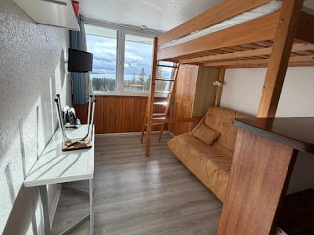 Vente Appartement 1 pièce 20 m2 Besse et Saint Anastaise