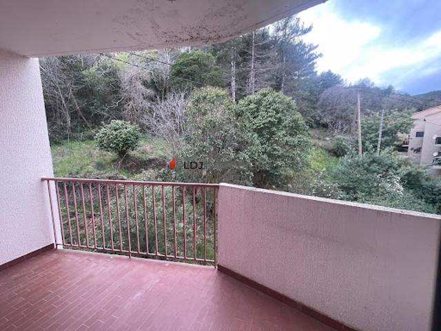 Vente Appartement 1 pièce 21.96 m2 Amélie les Bains Palalda