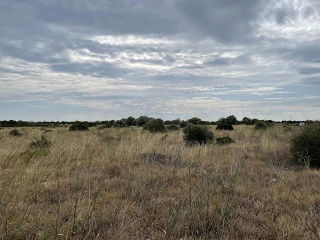 Vente Terrain 21115 m2 Saint Hippolyte