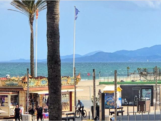 Vente appartement 2 Pièce s 42m² Canet en Roussillon
