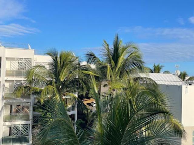 Vente Appartement 2 pièces 43.5 m2 Sainte Clotilde