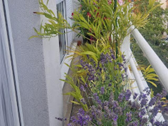Vente Appartement 2 pièces 40.71 m2 Asnieres sur seine