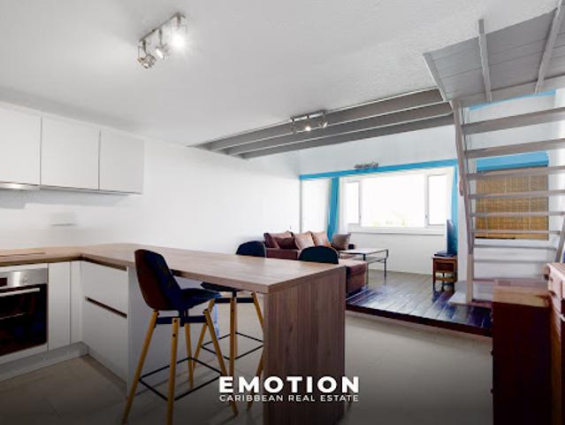 Vente Appartement 2 pièces 47 m2 Saint Martin