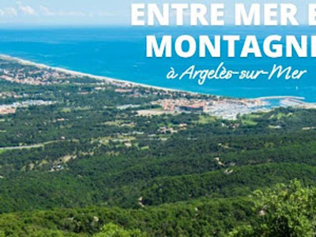 Vente Appartement 2 pièces 44 m2 Argeles sur mer