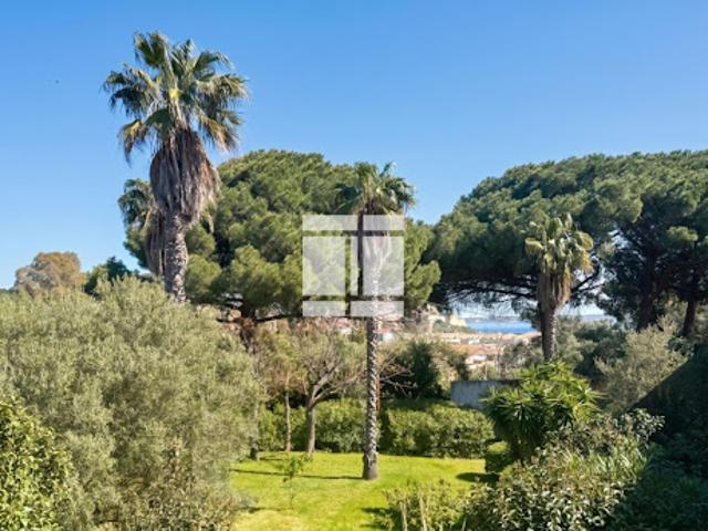 Vente Appartement 2 pièces 48 m2 Calvi