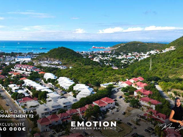 Vente Appartement 2 pièces 45 m2 Saint Martin