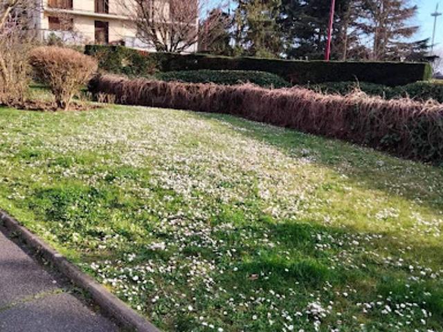 Vente Appartement 2 pièces 50 m2 Fresnes