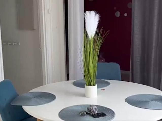 Vente Appartement 2 pièces 50 m2 Saint denis chaudron